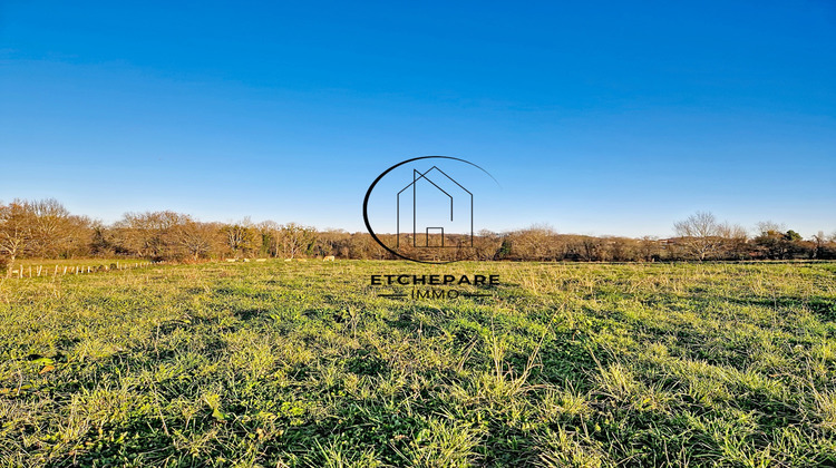 Ma-Cabane - Vente Terrain Abitain, 1558 m²