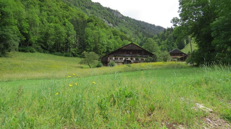 Ma-Cabane - Vente Terrain ABONDANCE, 1150 m²