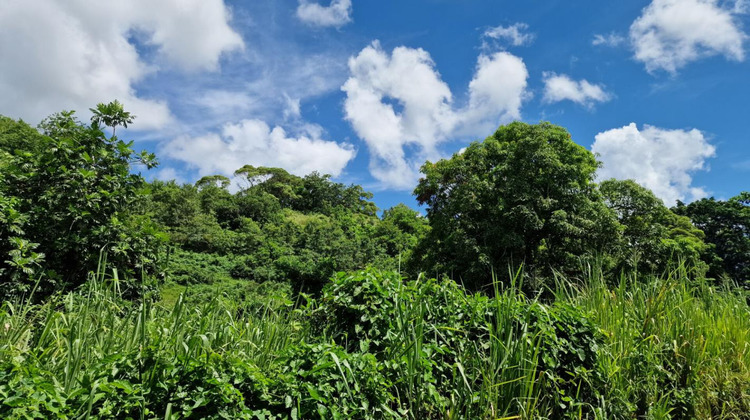 Ma-Cabane - Vente Terrain ABYMES, 647 m²