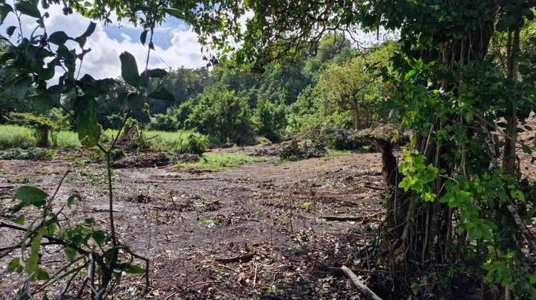 Ma-Cabane - Vente Terrain ABYMES, 647 m²