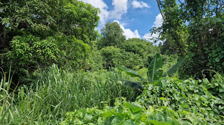 Ma-Cabane - Vente Terrain ABYMES, 697 m²