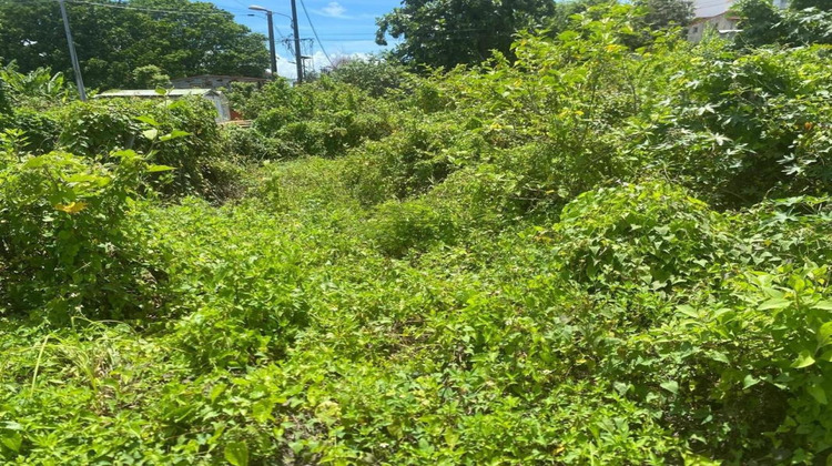 Ma-Cabane - Vente Terrain ABYMES, 479 m²