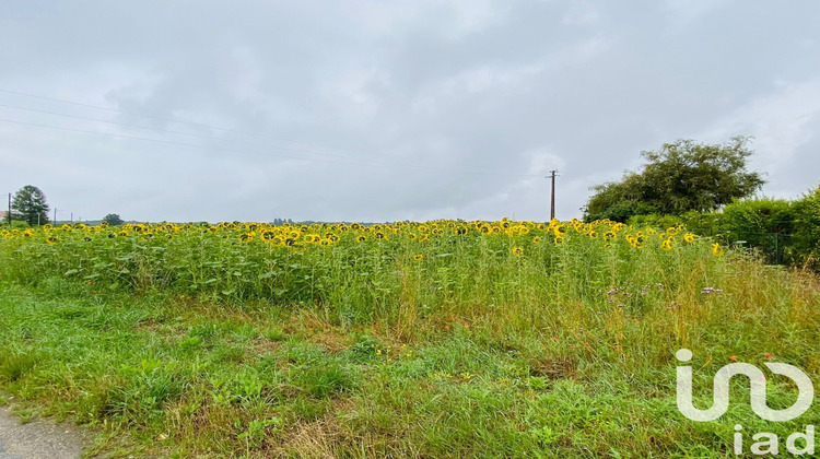 Ma-Cabane - Vente Terrain Achères-la-Forêt, 1191 m²
