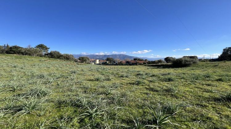 Ma-Cabane - Vente Terrain Afa, 1000 m²