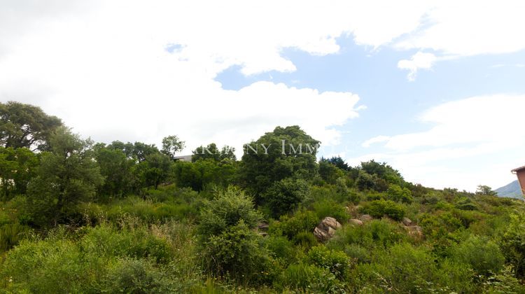 Ma-Cabane - Vente Terrain Afa, 961 m²