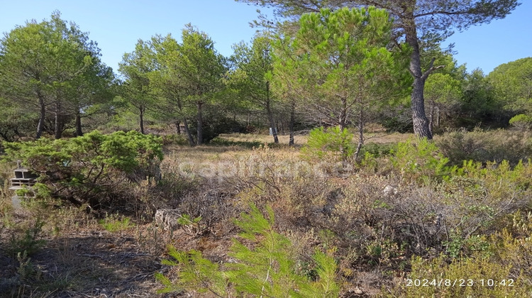 Ma-Cabane - Vente Terrain AIGNE, 30000 m²