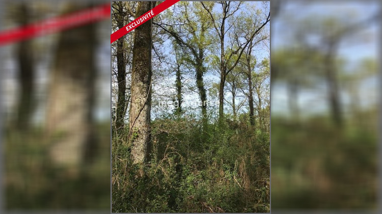 Ma-Cabane - Vente Terrain AILLAS, 34500 m²