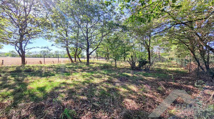 Ma-Cabane - Vente Terrain AIZENAY, 4048 m²