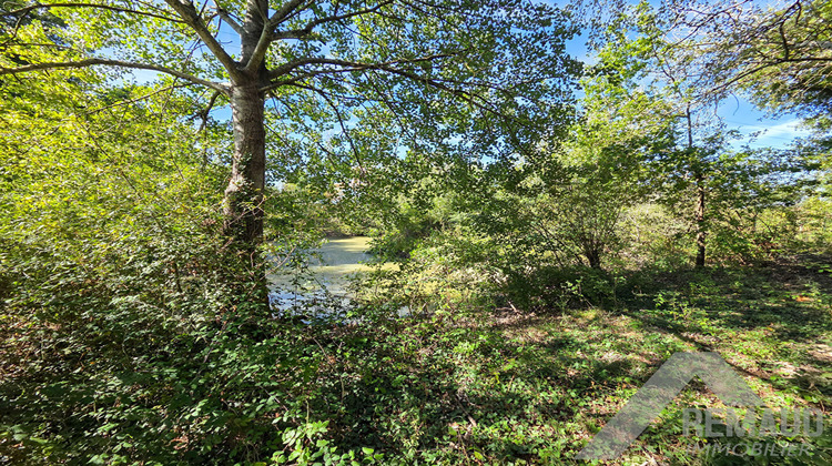 Ma-Cabane - Vente Terrain AIZENAY, 4048 m²