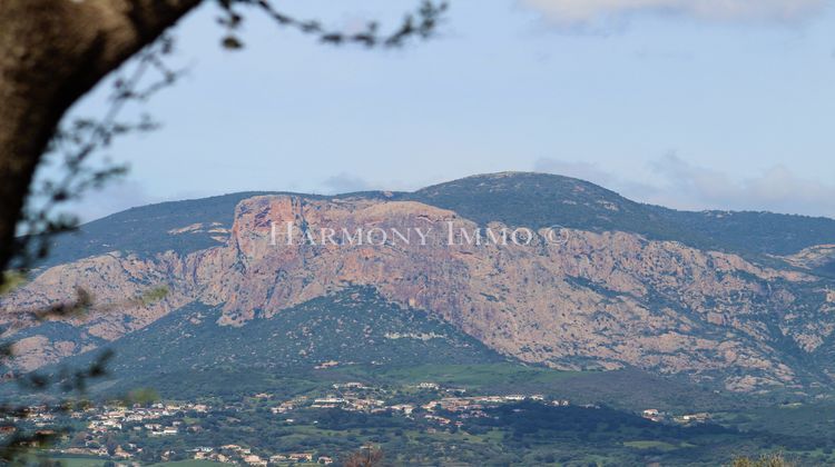 Ma-Cabane - Vente Terrain Ajaccio, 1980 m²