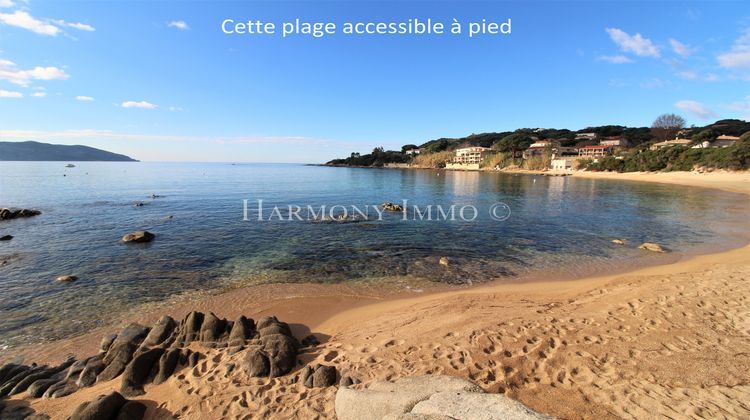 Ma-Cabane - Vente Terrain Ajaccio, 1589 m²