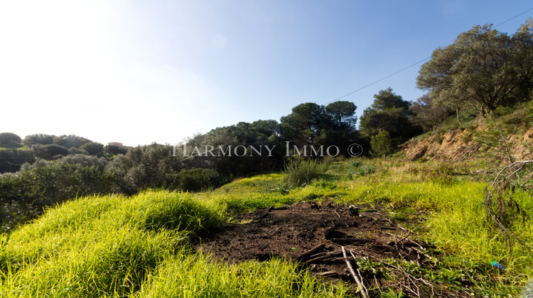 Ma-Cabane - Vente Terrain Ajaccio, 3116 m²