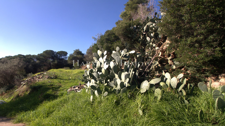 Ma-Cabane - Vente Terrain Ajaccio, 3100 m²