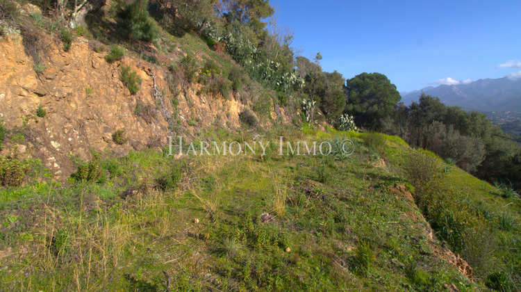 Ma-Cabane - Vente Terrain Ajaccio, 3116 m²