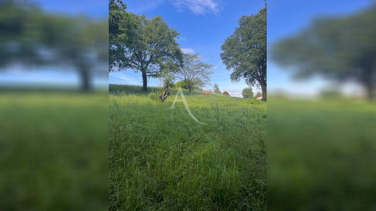 Ma-Cabane - Vente Terrain ALBI, 2981 m²