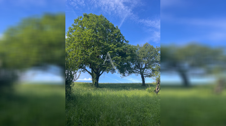 Ma-Cabane - Vente Terrain ALBI, 2981 m²