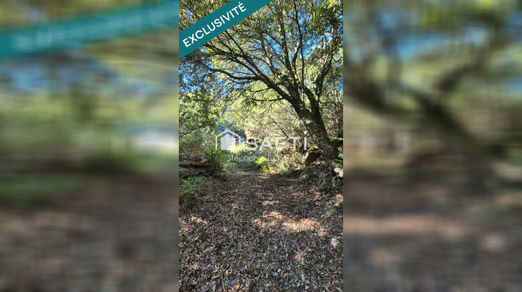 Ma-Cabane - Vente Terrain Albitreccia, 3800 m²