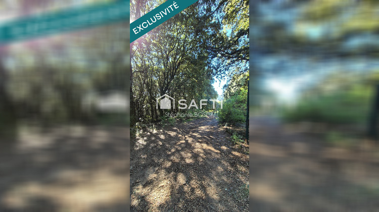 Ma-Cabane - Vente Terrain Albitreccia, 3800 m²