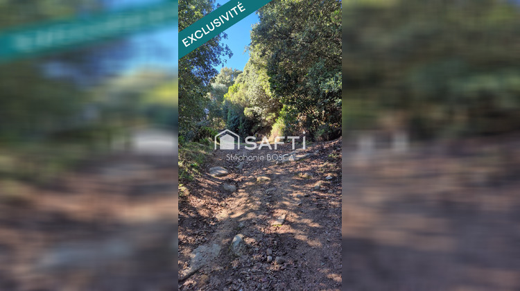 Ma-Cabane - Vente Terrain Albitreccia, 3800 m²