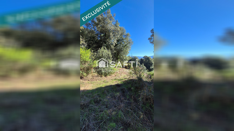 Ma-Cabane - Vente Terrain Albitreccia, 3800 m²