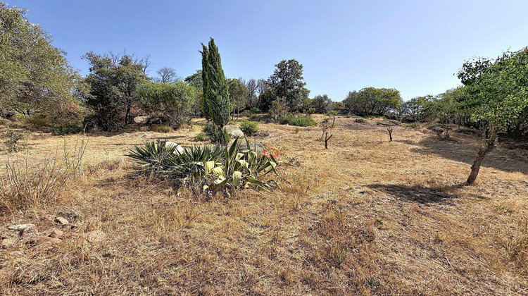 Ma-Cabane - Vente Terrain Albitreccia, 2731 m²