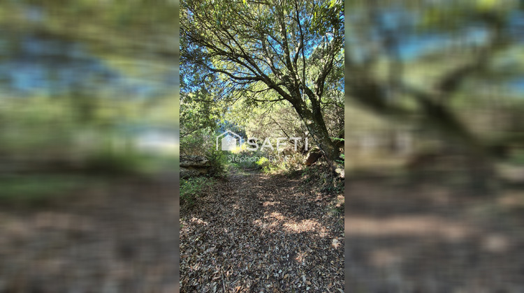 Ma-Cabane - Vente Terrain Albitreccia, 3800 m²
