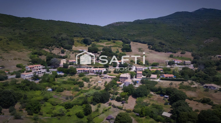Ma-Cabane - Vente Terrain Albitreccia, 3800 m²