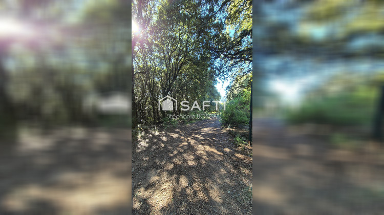 Ma-Cabane - Vente Terrain Albitreccia, 3800 m²