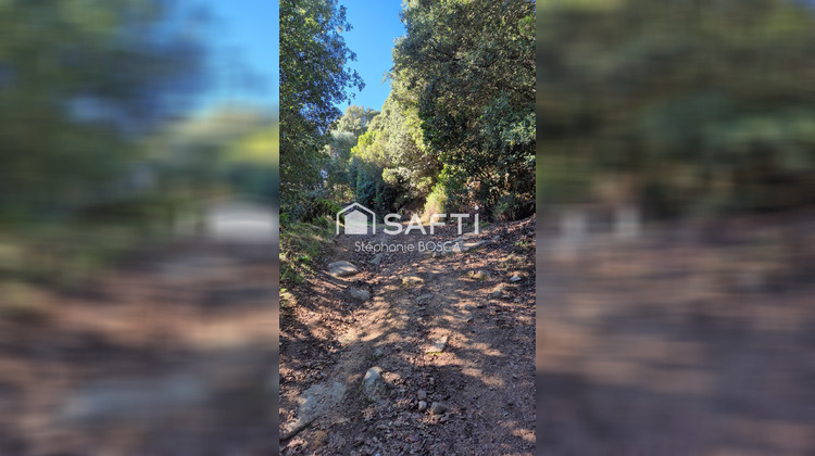 Ma-Cabane - Vente Terrain Albitreccia, 3800 m²