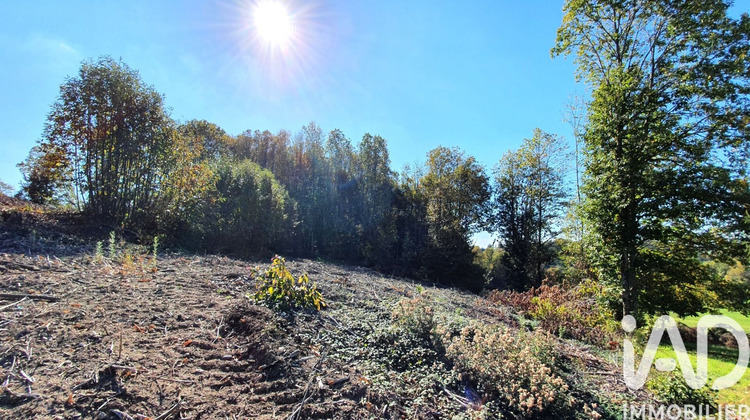Ma-Cabane - Vente Terrain Albussac, 2500 m²