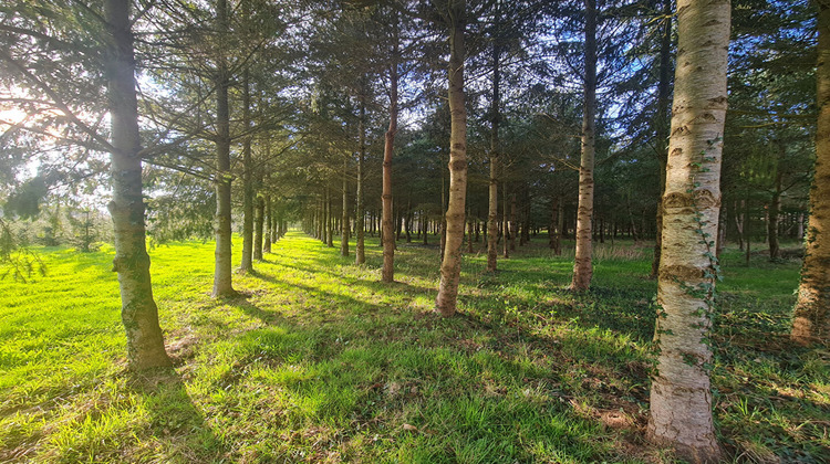 Ma-Cabane - Vente Terrain ALENCON, 47800 m²