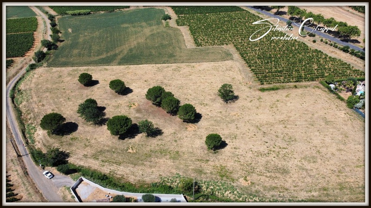 Ma-Cabane - Vente Terrain ALIGNAN DU VENT, 803 m²