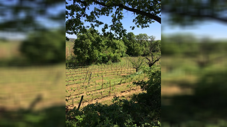 Ma-Cabane - Vente Terrain ALIGNAN DU VENT, 27000 m²