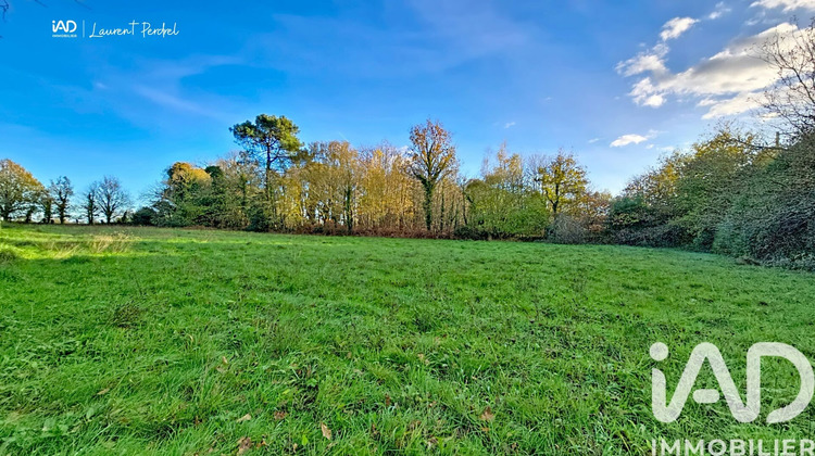 Ma-Cabane - Vente Terrain Allaire, 3012 m²