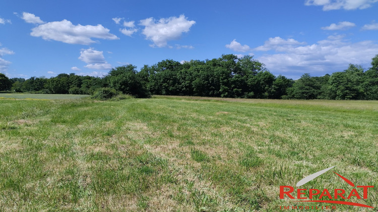 Ma-Cabane - Vente Terrain Allassac, 6749 m²