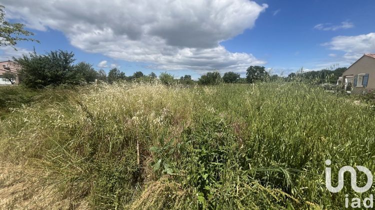 Ma-Cabane - Vente Terrain Allègre-les-Fumades, 550 m²