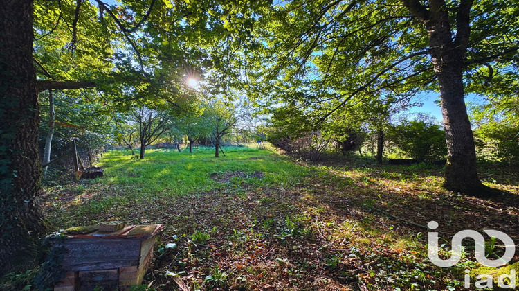 Ma-Cabane - Vente Terrain Alligny-Cosne, 1504 m²