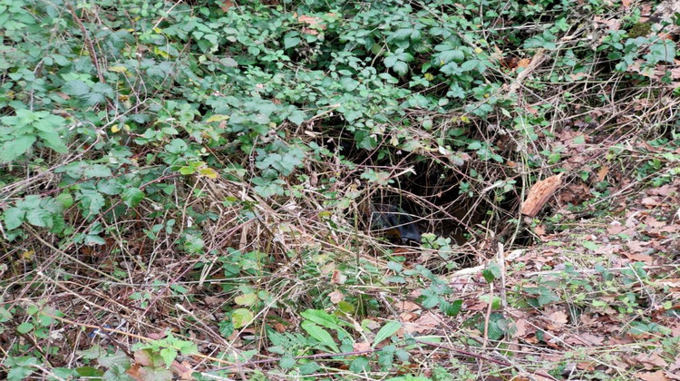 Ma-Cabane - Vente Terrain ALTILLAC, 3860 m²