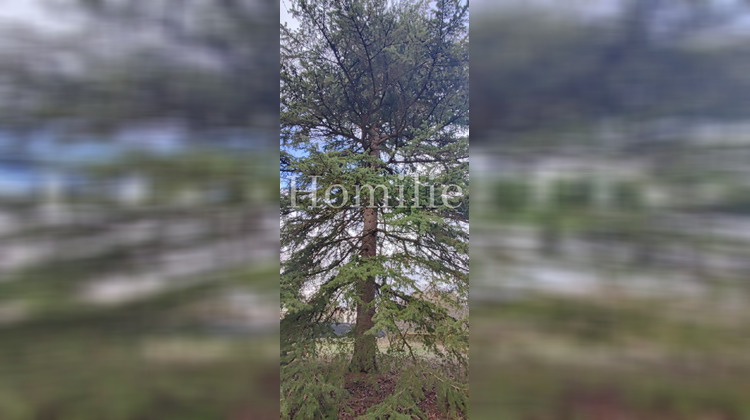 Ma-Cabane - Vente Terrain Amboise, 785 m²