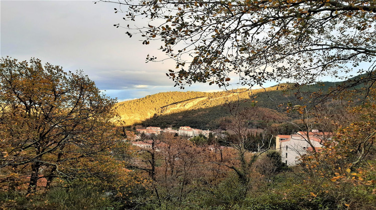 Ma-Cabane - Vente Terrain AMELIE LES BAINS PALALDA, 1199 m²