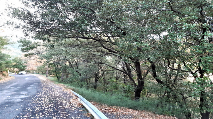 Ma-Cabane - Vente Terrain AMELIE LES BAINS PALALDA, 1199 m²