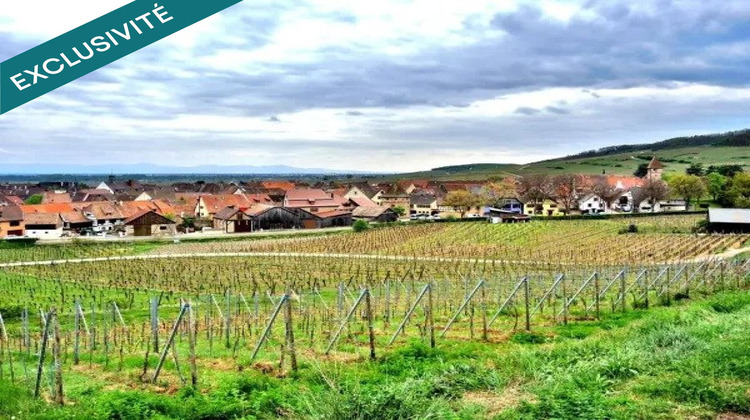 Ma-Cabane - Vente Terrain Ammerschwihr, 1639 m²