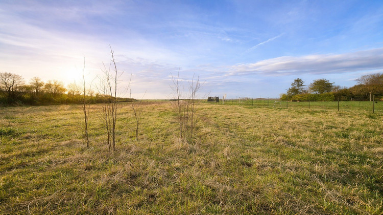 Ma-Cabane - Vente Terrain AMPONVILLE, 2135 m²