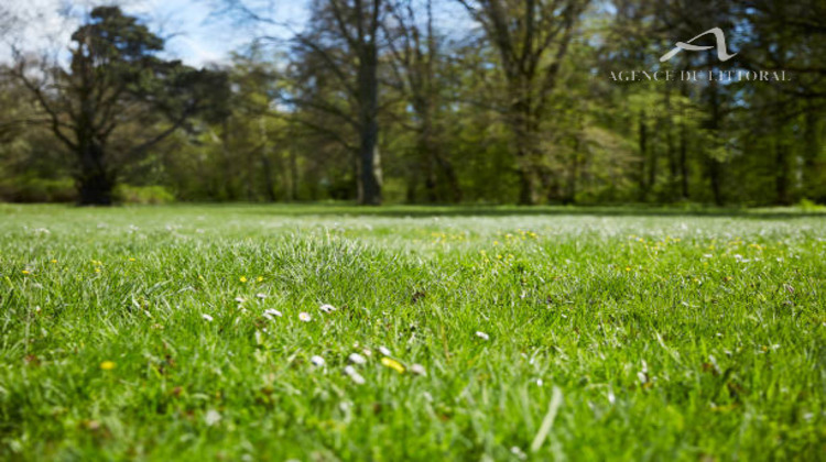 Ma-Cabane - Vente Terrain Andernos-les-Bains, 580 m²