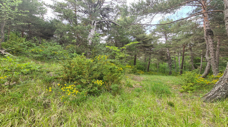 Ma-Cabane - Vente Terrain Andon, 2578 m²