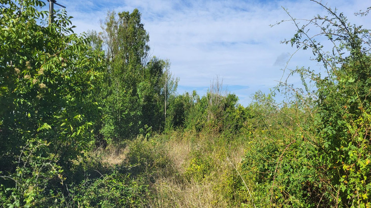 Ma-Cabane - Vente Terrain Angles-sur-l'Anglin, 772 m²