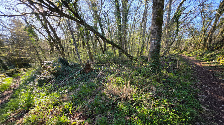 Ma-Cabane - Vente Terrain ANGLES-SUR-L'ANGLIN, 7010 m²
