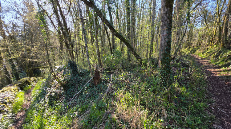 Ma-Cabane - Vente Terrain ANGLES-SUR-L'ANGLIN, 7010 m²