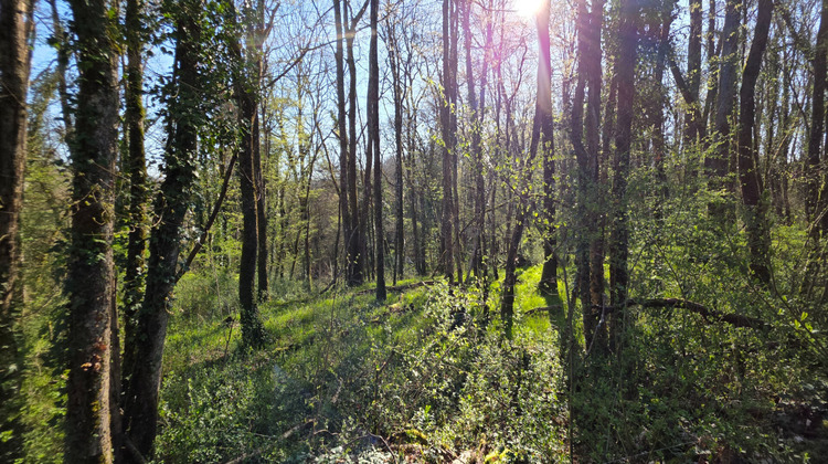 Ma-Cabane - Vente Terrain ANGLES-SUR-L'ANGLIN, 7010 m²