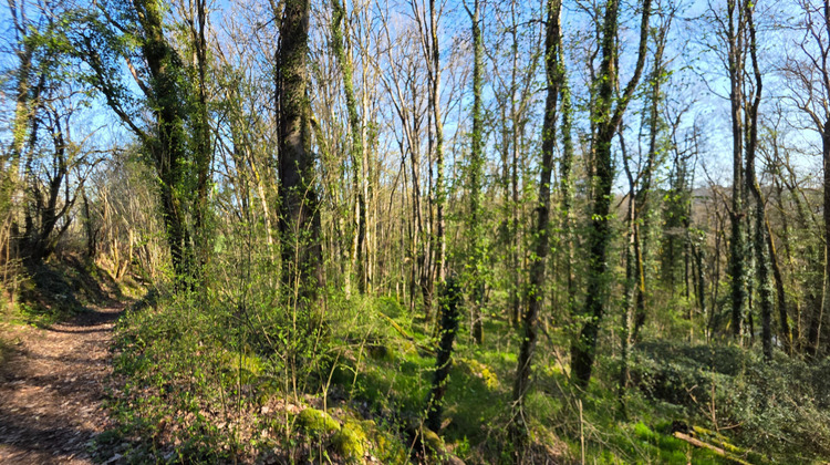 Ma-Cabane - Vente Terrain ANGLES-SUR-L'ANGLIN, 7010 m²